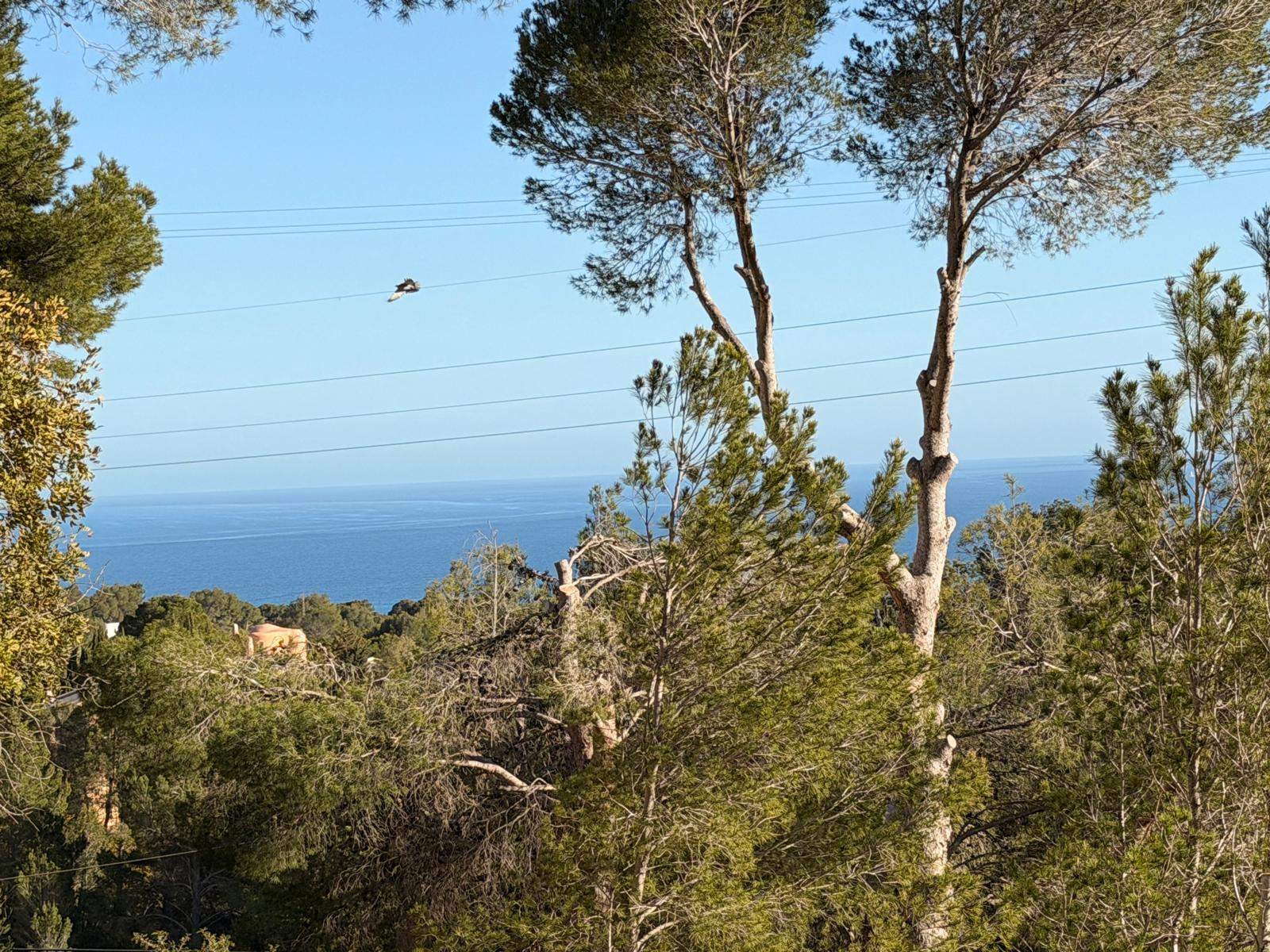 Building plot in Galera de las Palmeras, one of the most sought-after residential areas of Altea.